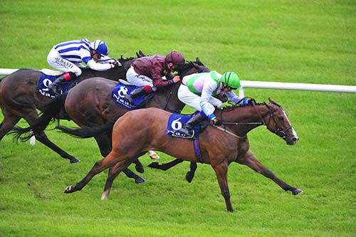 Heaven's Guest comes home in front under James Doyle