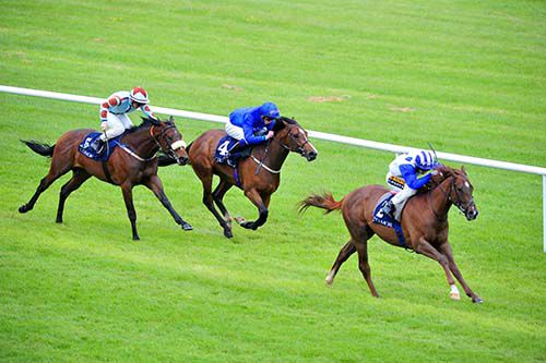 Argentero is ridden out by Colin Keane to beat Birchwood (blue) and Galway Bay (noseband)