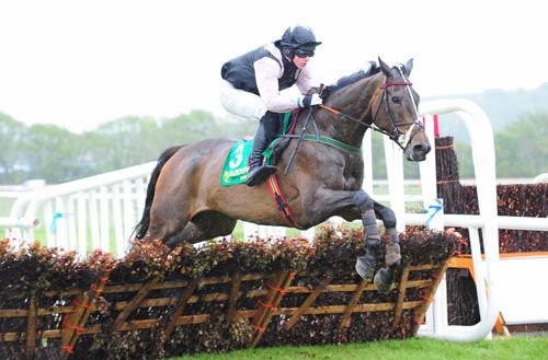 Notification and William Cronin jump the last