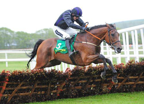 Your Busy clears the last under Ruby Walsh