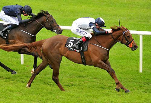 Anthem Alexander is one of three Eddie Lynam trained horses set to run in the Flying Five at the Curragh