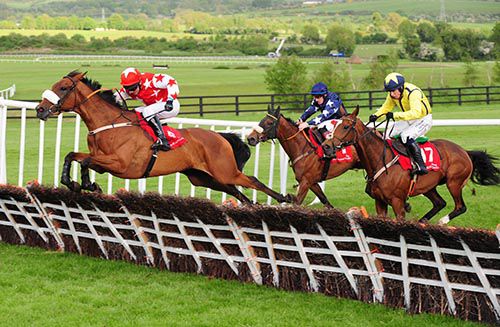 Havana Dancer, red and white, puts her quick step in at Punchestown