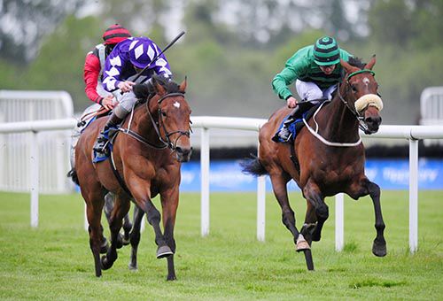 Daliyan (left) and Kevin Manning beat Shadagann (right)