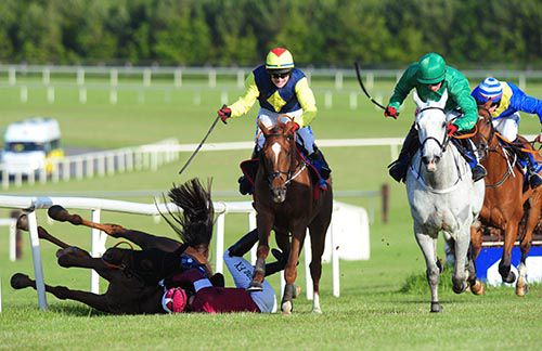 Shadow Catcher, yellow cap, heads for home after Is Love Alive falls at the last
