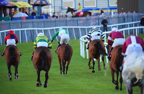 Aranhill Chief, third left, on his way to victory in the Connacht National