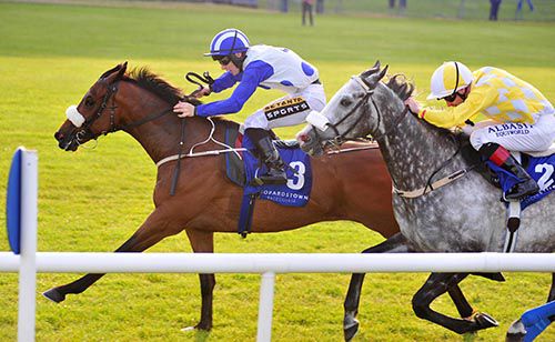 Tennessee Wildcat & Colin Keane (outside) prove too good for Captain Joy & Pat Smullen