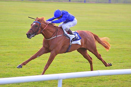 Salthouse makes his handicap debut in the feature