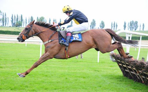 Supreme Benefit clears the last under Adam O'Neill 