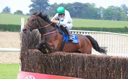 Araglen Lad jumps the last under Robbie Colgan