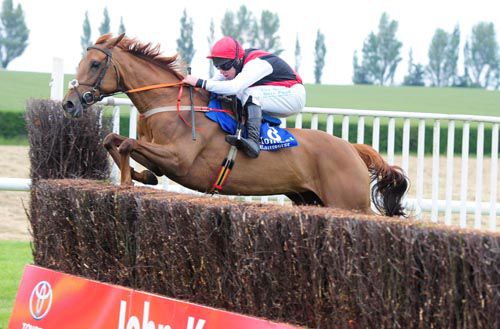 Damefirth jumps the last on her way to victory under Andrew Lynch