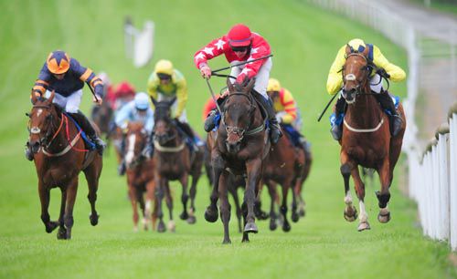 Supreme Vinnie & John O'Meara (red) lead home Deputy Pass (right) & Loughnamore Queen (left)