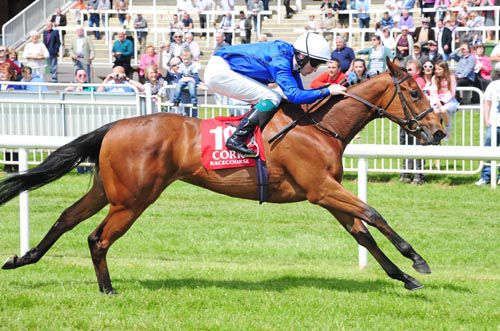 Shrill comes home a convincing winner under Billy Lee