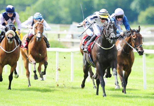 Line Of Reason (yellow and black cap) leads them home under Paul Mulrennan