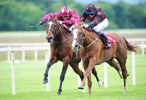 Gallope (right)) and Fran Berry getting the better of Multiculture