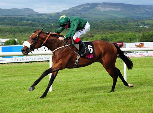 Rathbride Raven and Chris Hayes