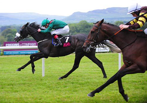 Harasava and Pat Smullen hold on from B Cosmos and Billy Lee