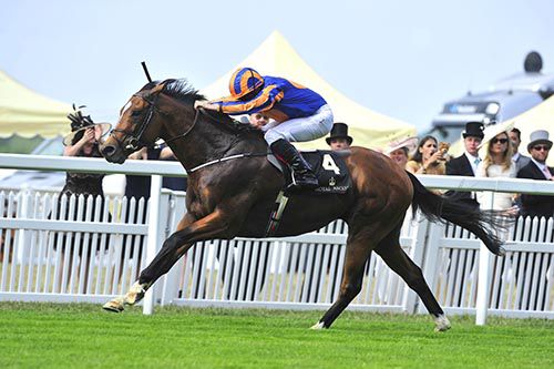 Gleneagles powers to victory in the St James's Palace Stakes under Ryan Moore