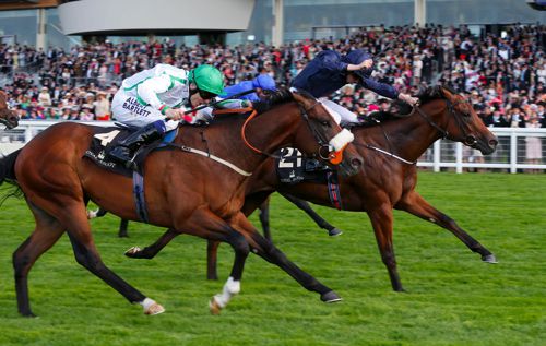 Washington DC (navy) pictured on his way to victory at Royal Ascot