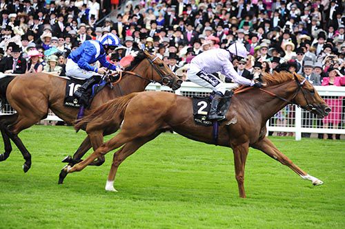 Dutch Connection (Jim Crowley) beating Fadhayyil in the Jersey Stakes