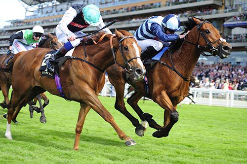 Gm Hopkins (right) beats Temptress in the Royal Hunt Cup
