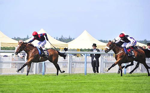 Graham Lee wins the Gold Cup on Trip To Paris