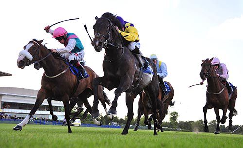 Convergence and Gary Carroll (yellow/purple) hold on from Tested and Leigh Roche