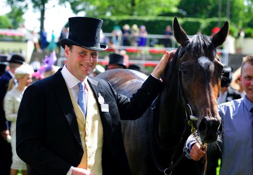 David Wachman with Curvy