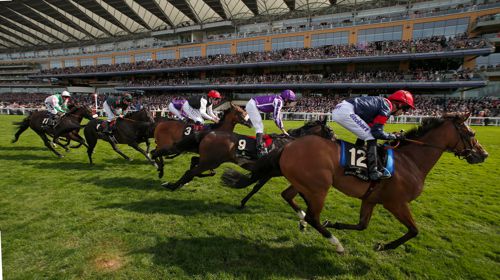 Trip To Paris lands the Ascot Gold Cup with Simenon back in fourth