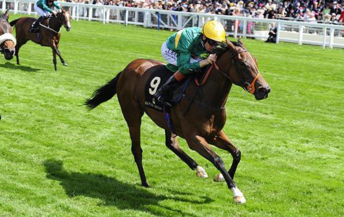 Illuminate and Richard Hughes