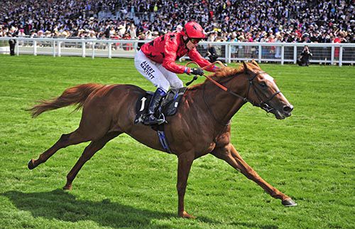 Balios and Jamie Spencer