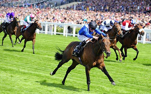 Dane O Neill winning on Muhaarar at Royal Ascot 