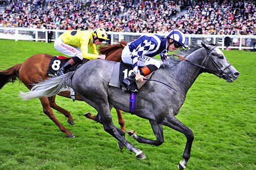 Arab Dawn wins under Richard Hughes