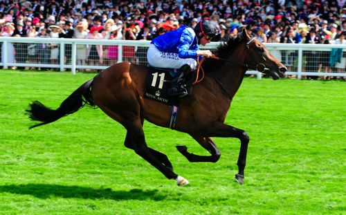 Muhaarar