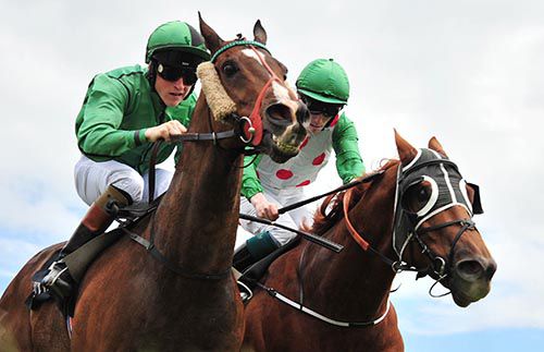 Calm Bay & Gary Halpin (nearest) just get the better of Shipyard & Billy Lee