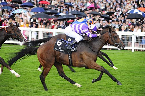 Suits You and Cristian Demuro pictured on their way to victory