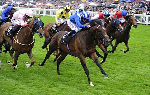 Mahsoob is driven out by Paul Hanagan
