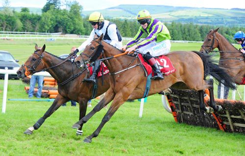 From Frost and Jack Kennedy (nearest) clear the last alongside Duckweed and Paul Townend