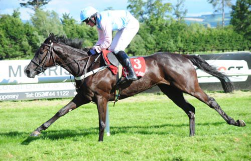 Hunters Call and Declan Queally