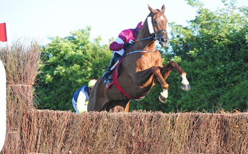 Akorakor in full flight at Kilbeggan