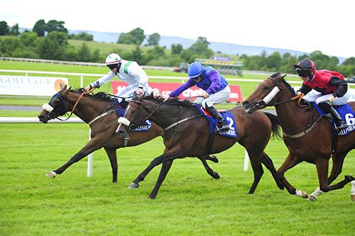 Ruler Of France and Jack Kennedy battles off Shes No Joke and Chatterton