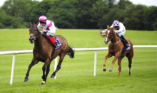 Back Off Mate and Sean Corby are clear from Muinin and Rory Cleary