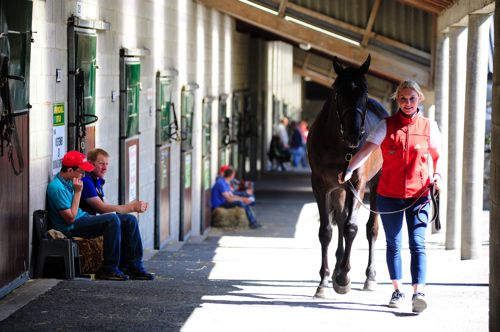 Tattersalls
