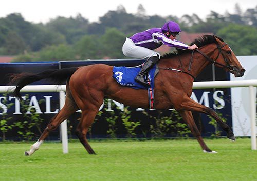 Minding is pushed out by Seamie Heffernan