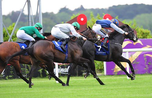 Ishebayorgrey leads them home under Colin Keane