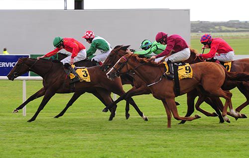 Colour Blue has her head in front at the Curragh