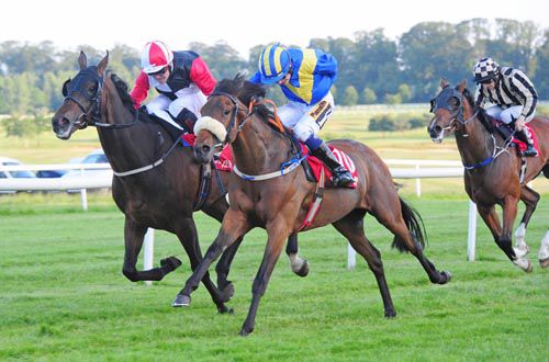 Brokopondo, near side, comes to grab Beechmount Whisper