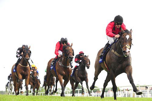 Three Bells and Wayne Lordan