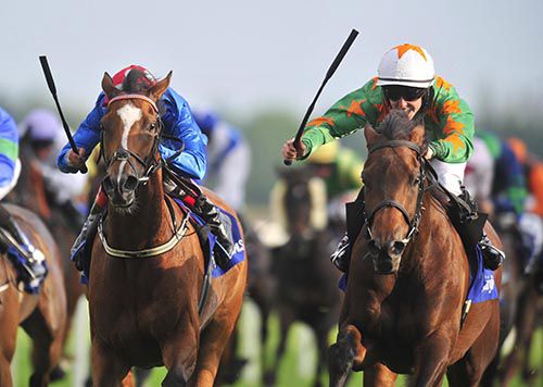 Caridadi and Ian Queally (right) win from Flowing Air