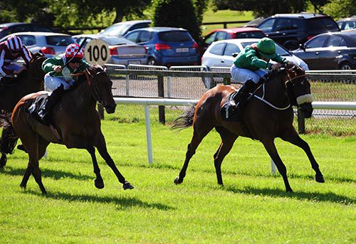 Zunera is driven out by Shane Foley to beat Coto and Shane Kelly