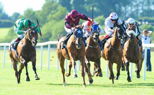 Tylery Wonder (white star blinkers) keeps on best under Billy Lee